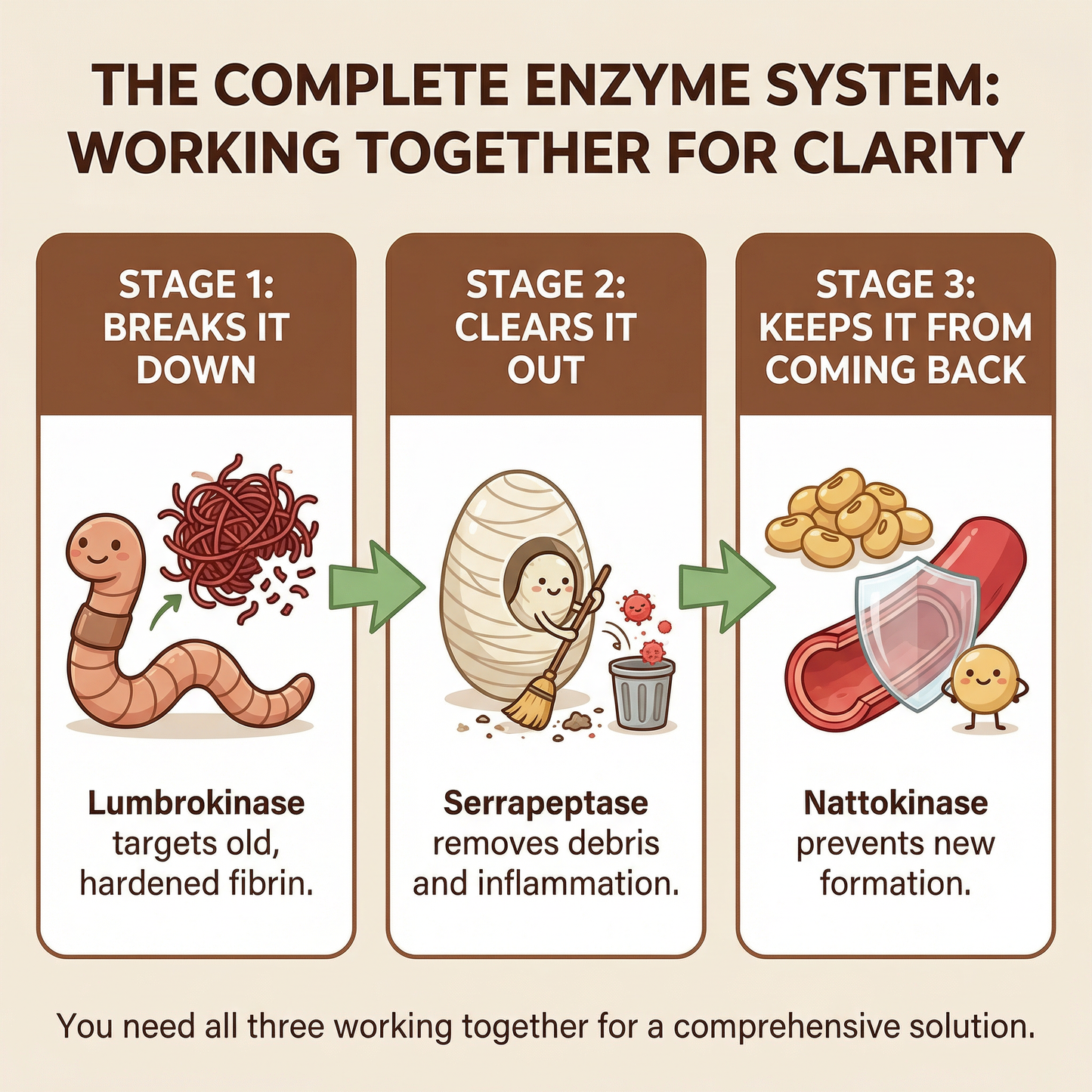 Vein Restore™ | Triple-Enzyme Circulation Support